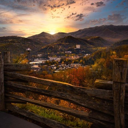 Owls Nest Tree House Hot Tub, Wifi, 1089 Free Tickets Each Paid Day, Dollywood And More Sevierville Exterior photo
